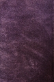 seher_fiolet_1.jpg