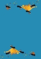 5982.jpg